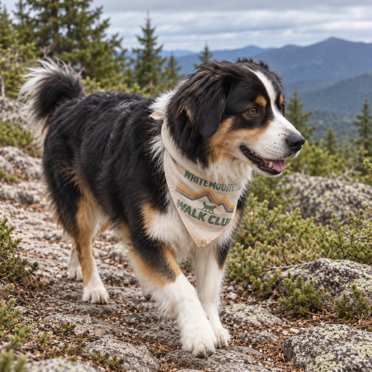 Illustrative lifestyle mockup: White Mountain Walk Club Dog bandana