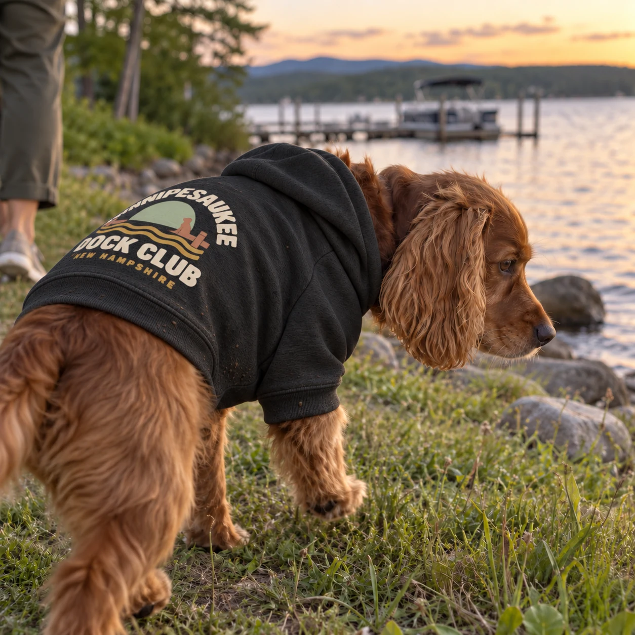 Illustrative lifestyle mockup: Winnipesaukee Dock Club Dog hoodie