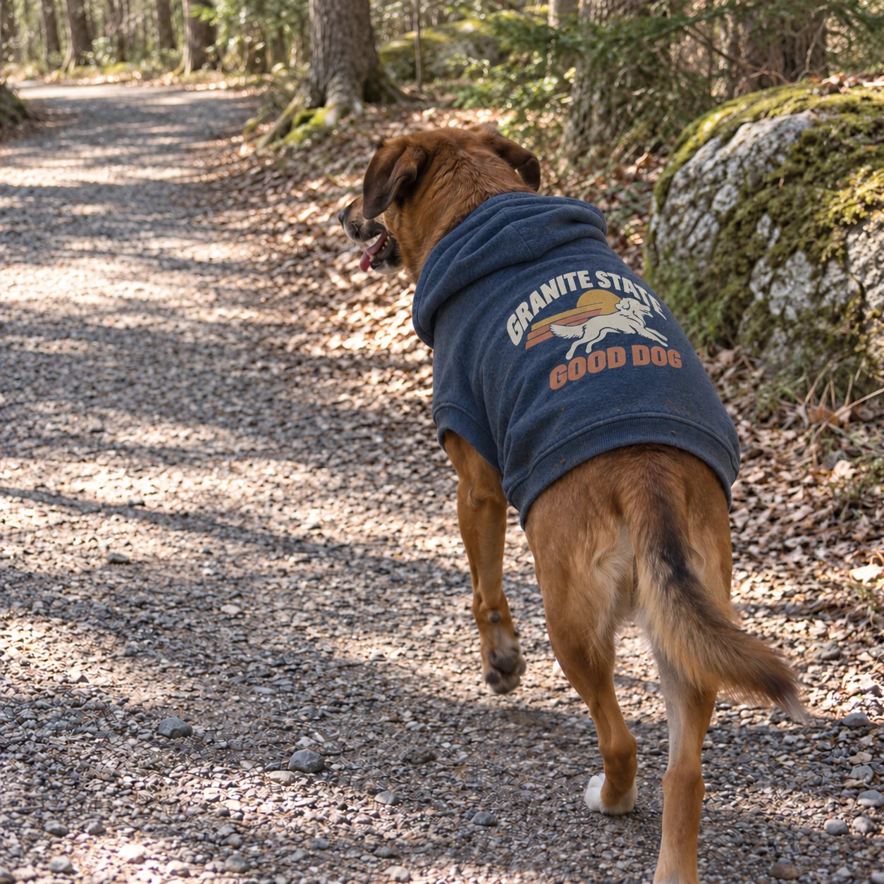 Illustrative lifestyle mockup: Granite State Good Dog Dog hoodie