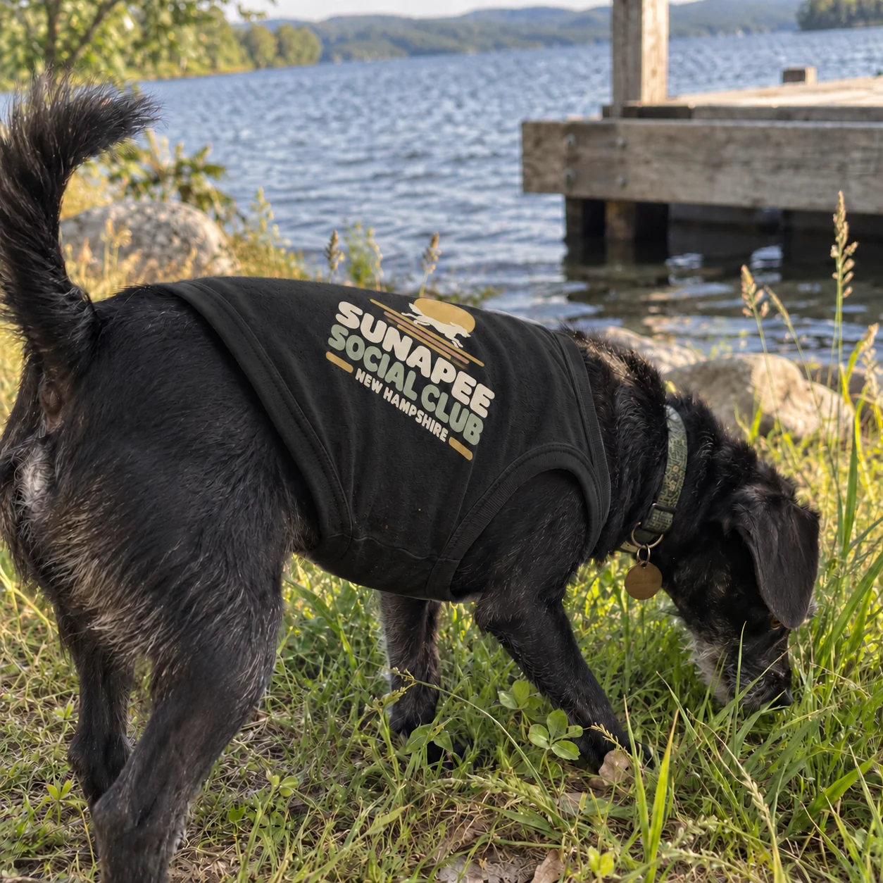 Illustrative lifestyle mockup: Sunapee Social Club Dog shirt