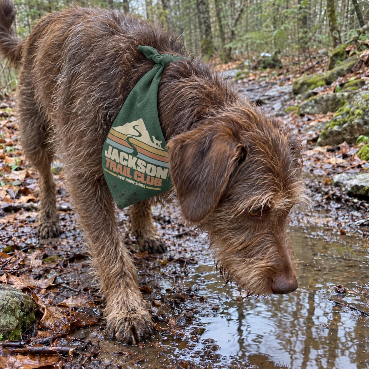 Illustrative lifestyle mockup: Jackson Trail Club Dog bandana