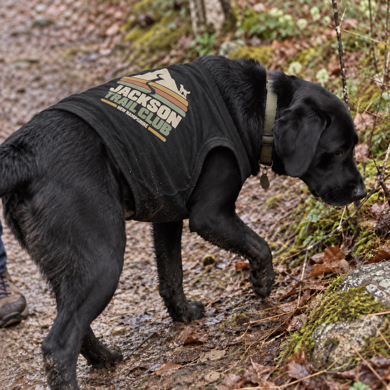 Illustrative lifestyle mockup: Jackson Trail Club Dog shirt