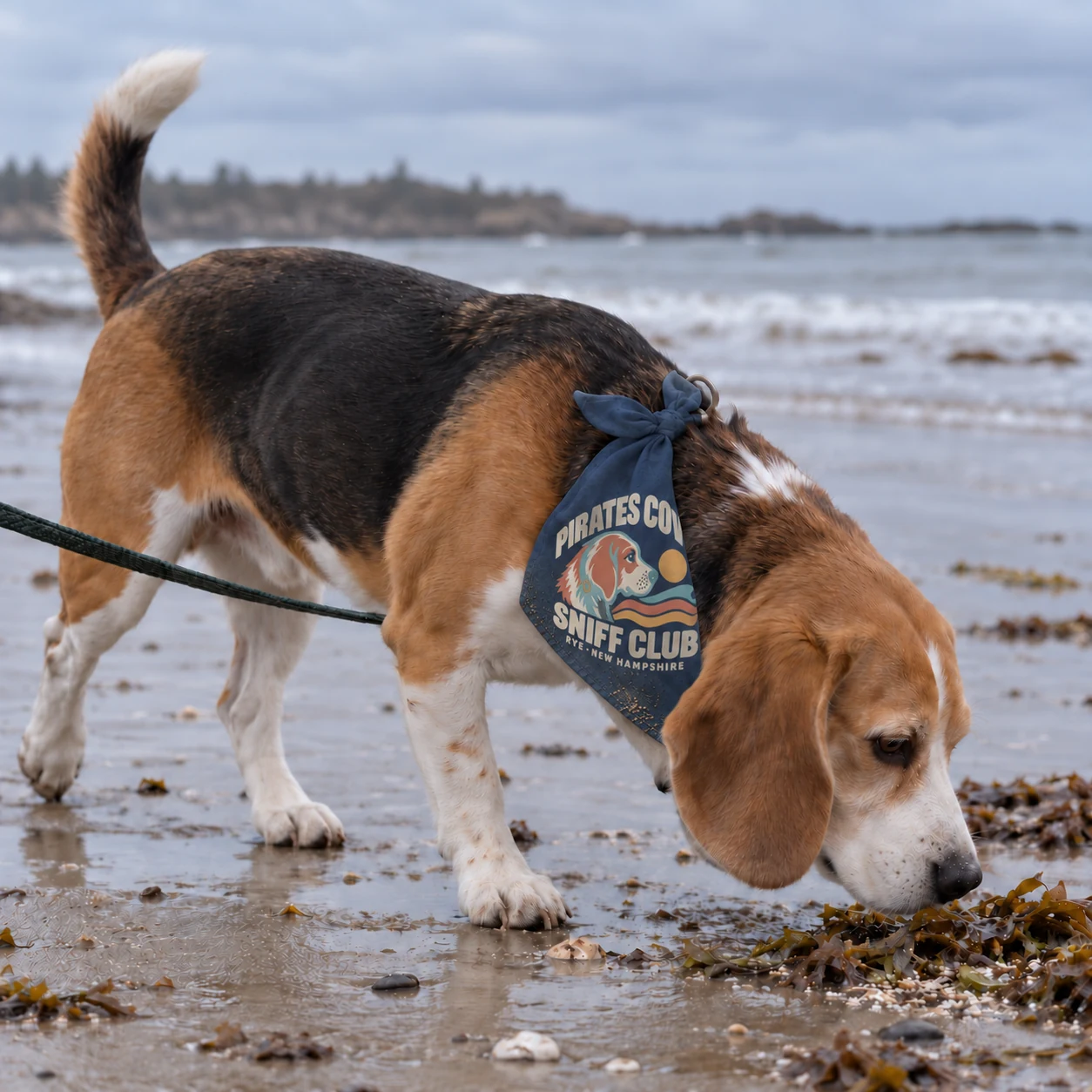 Illustrative lifestyle mockup: Pirates Cove Sniff Club Dog bandana