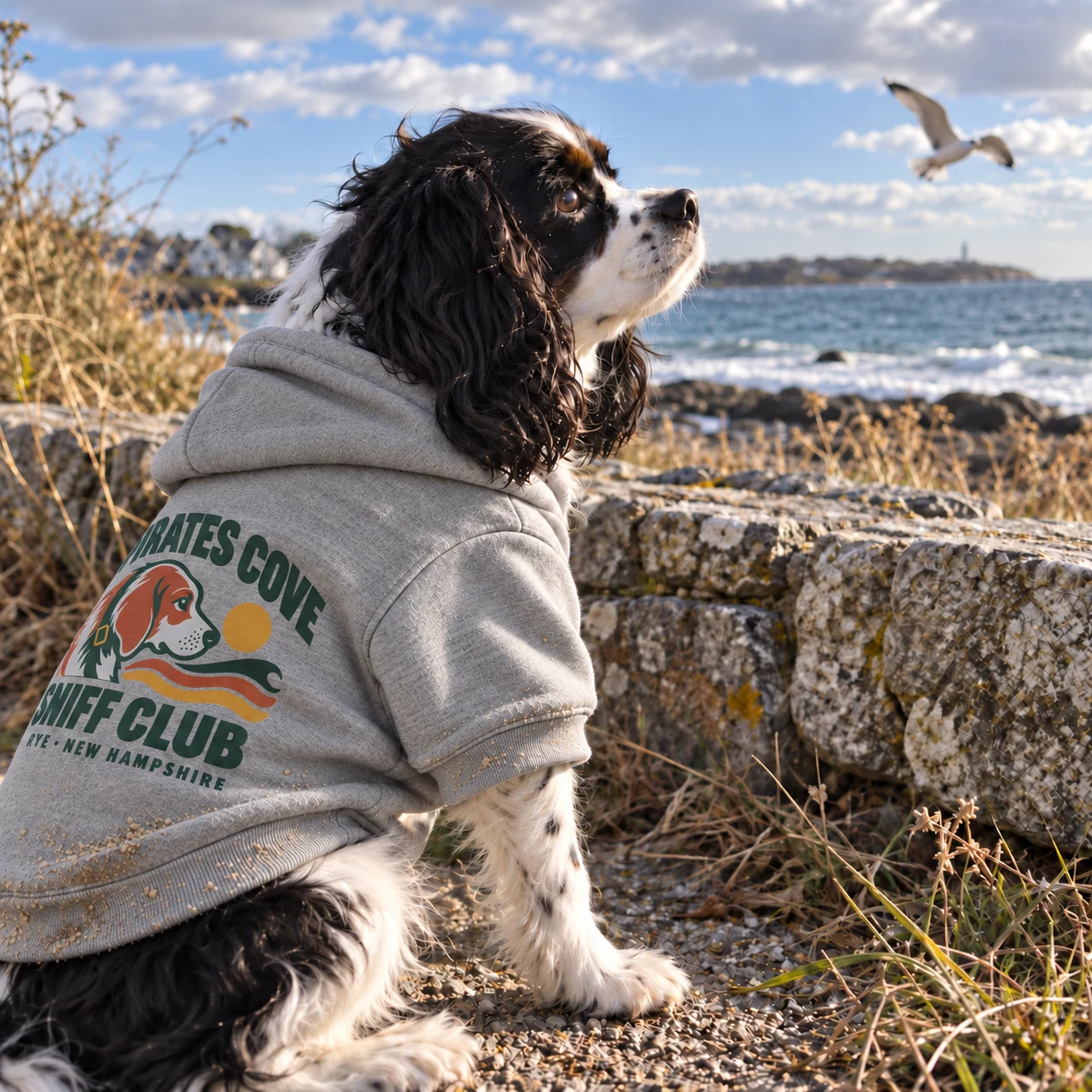 Illustrative lifestyle mockup: Pirates Cove Sniff Club Dog hoodie
