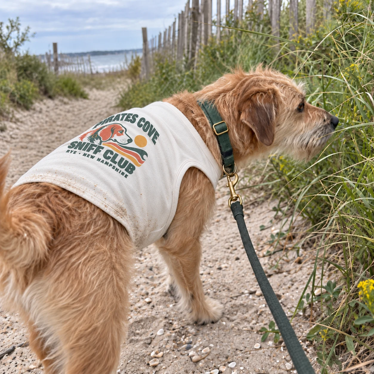 Illustrative lifestyle mockup: Pirates Cove Sniff Club Dog shirt
