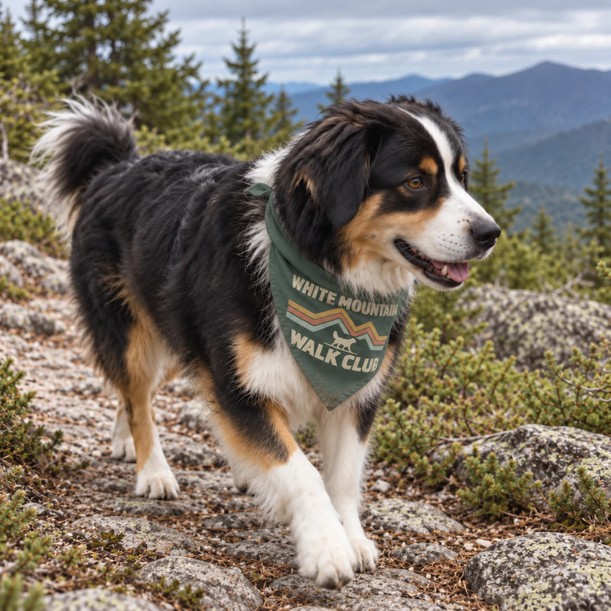 Illustrative lifestyle mockup: White Mountain Walk Club Dog bandana