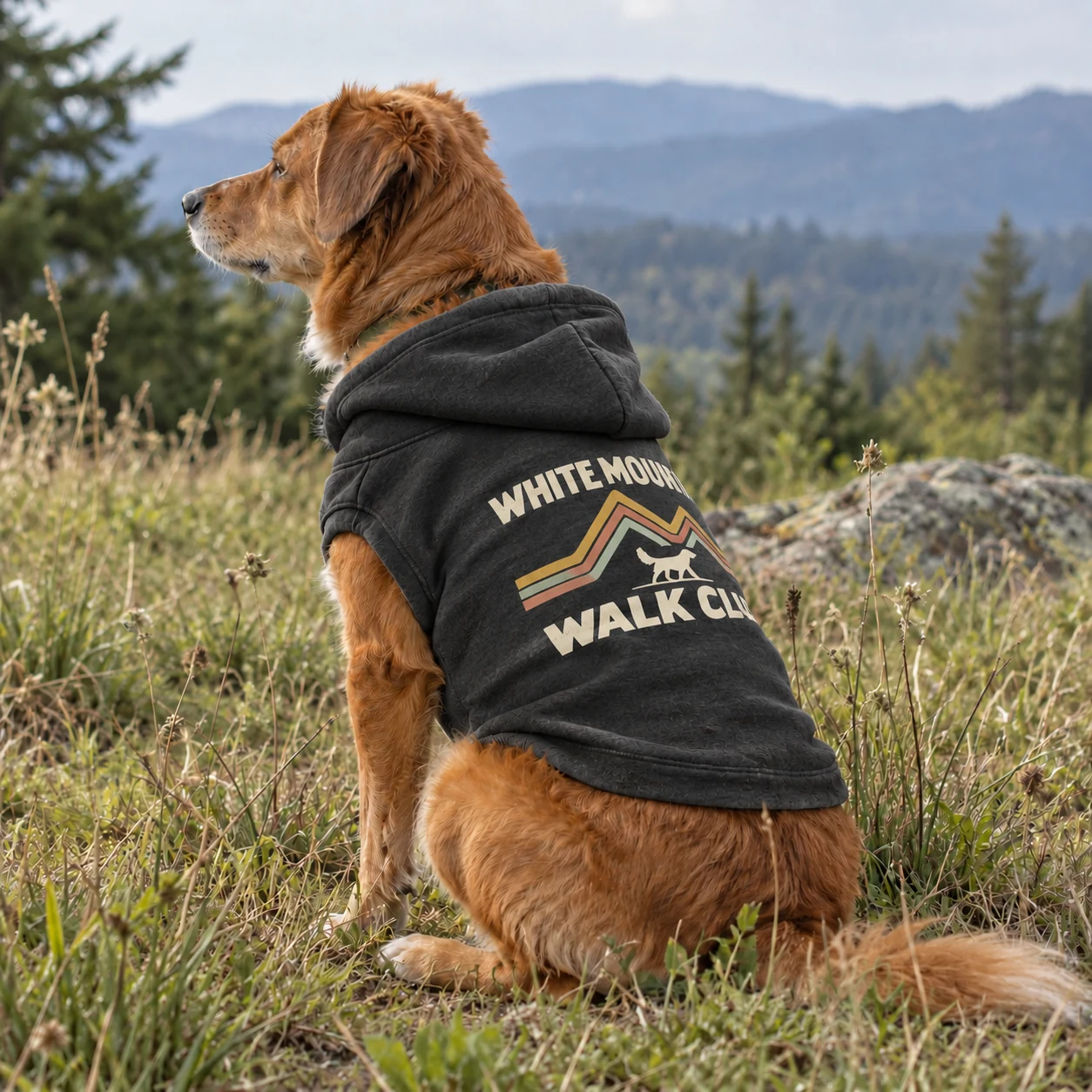 Illustrative lifestyle mockup: White Mountain Walk Club Dog hoodie