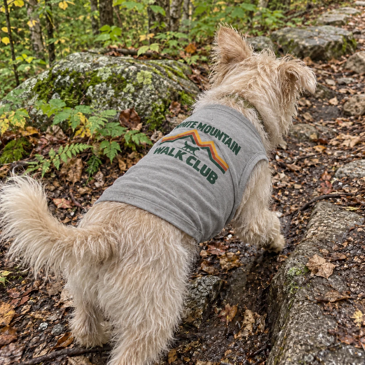 Illustrative lifestyle mockup: White Mountain Walk Club Dog shirt